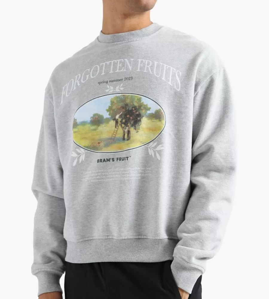 Tops^BRAM's FRUIT Forgotten Fruits Harvest Crewneck Grey